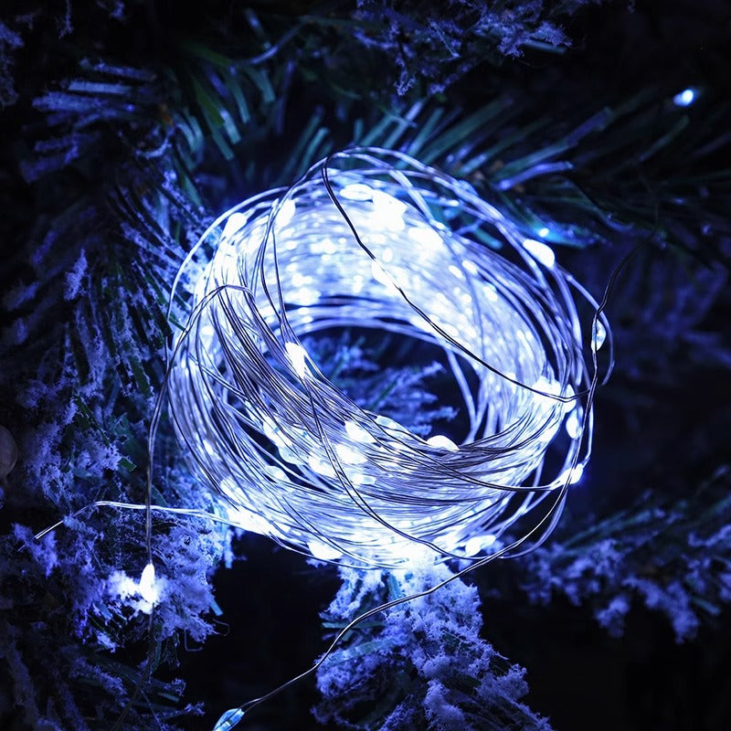 LED Copper Wire String Lights with Battery Box (Outdoor)