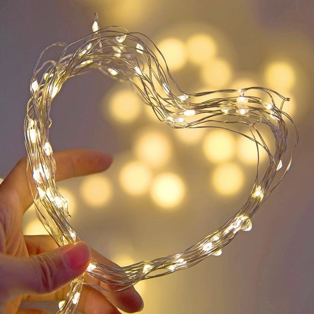 LED Copper Wire String Lights with Battery Box (Outdoor)